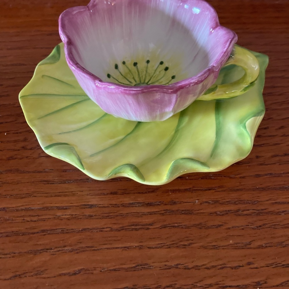 Vintage  Vietri of Italy Pattern Water Garden cup & Saucer